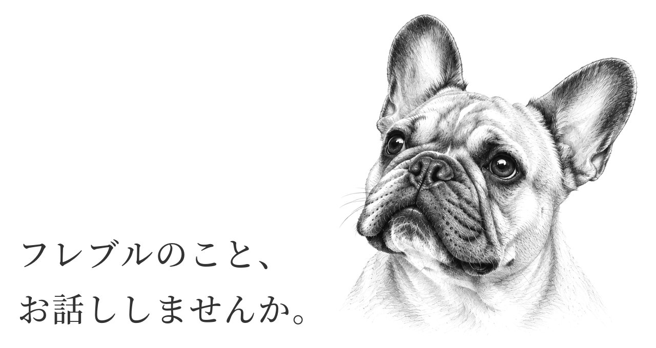 フレンチ・ブルドッグのこと、お話ししませんか。