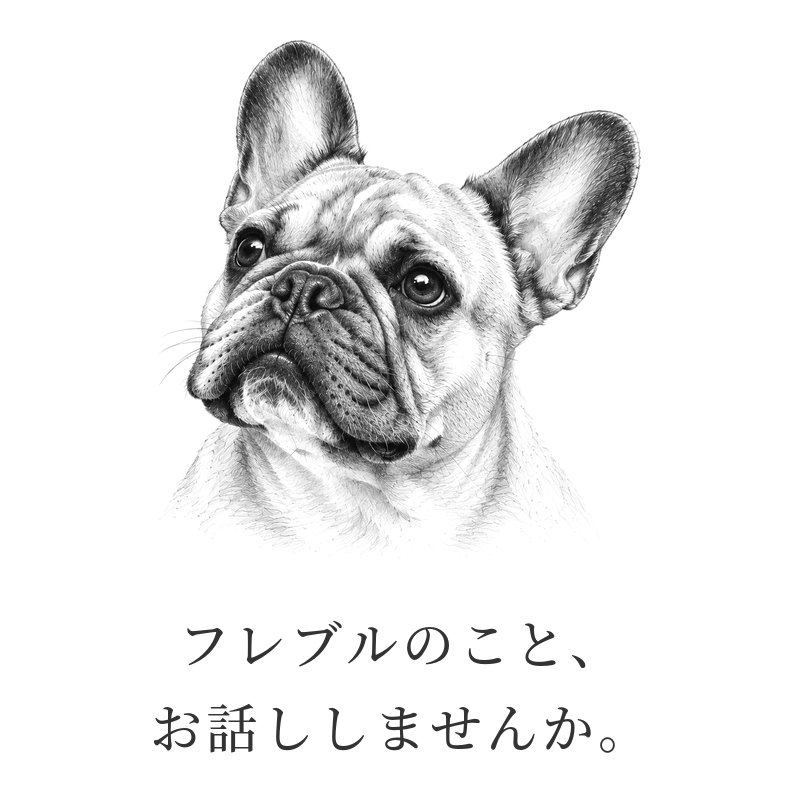 フレブルのこと、お話ししませんか。