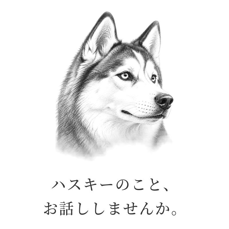 ハスキーのこと、お話ししませんか。