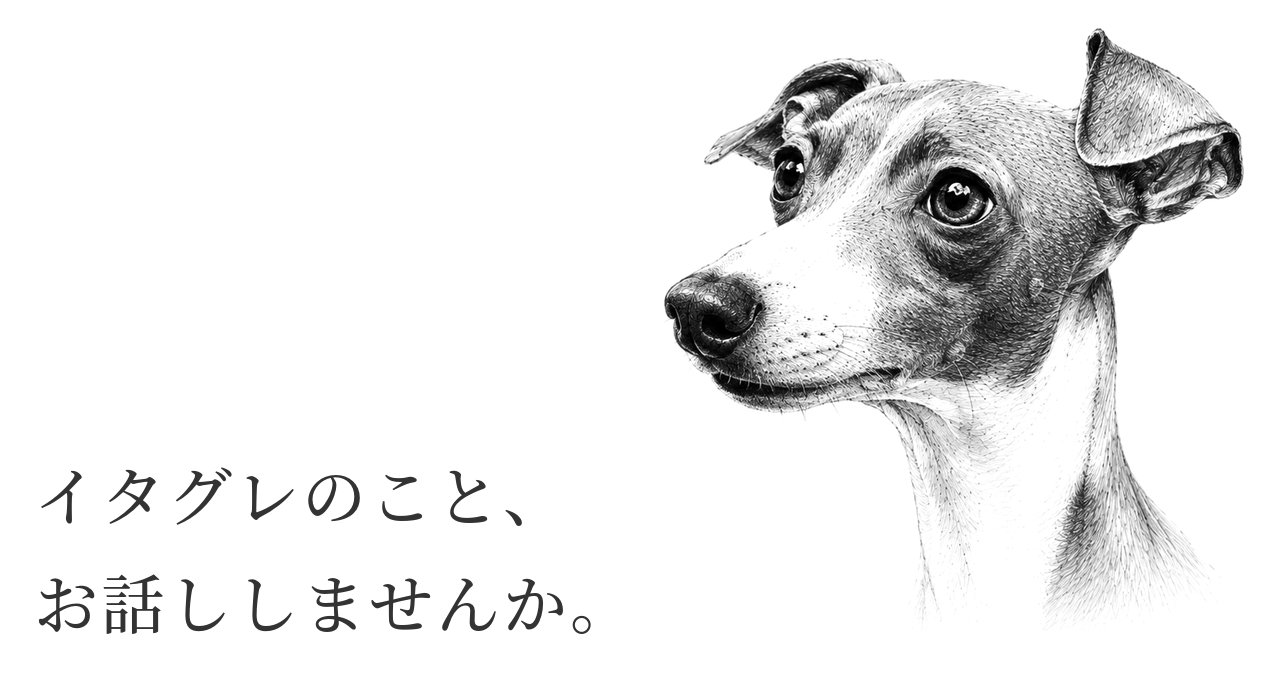 イタグレのこと、お話ししませんか。
