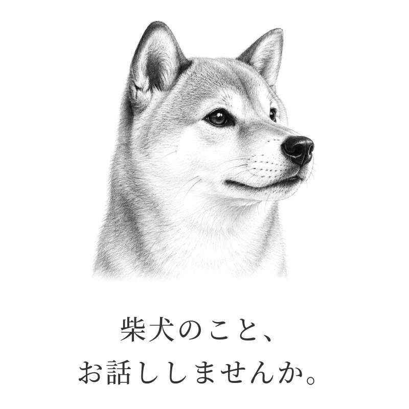 柴犬のこと、お話ししませんか。