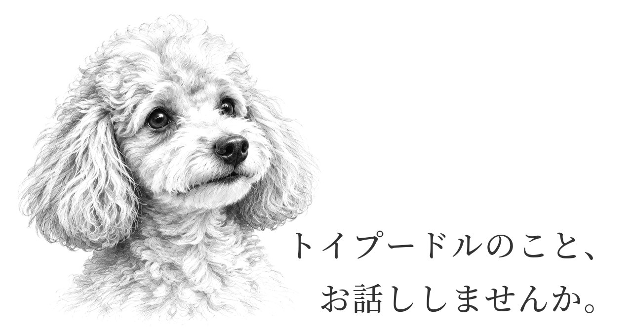 トイ・プードルのこと、お話ししませんか。