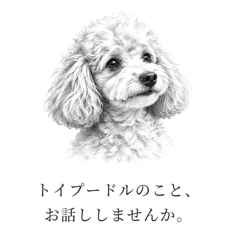 トイプーのこと、お話ししませんか。