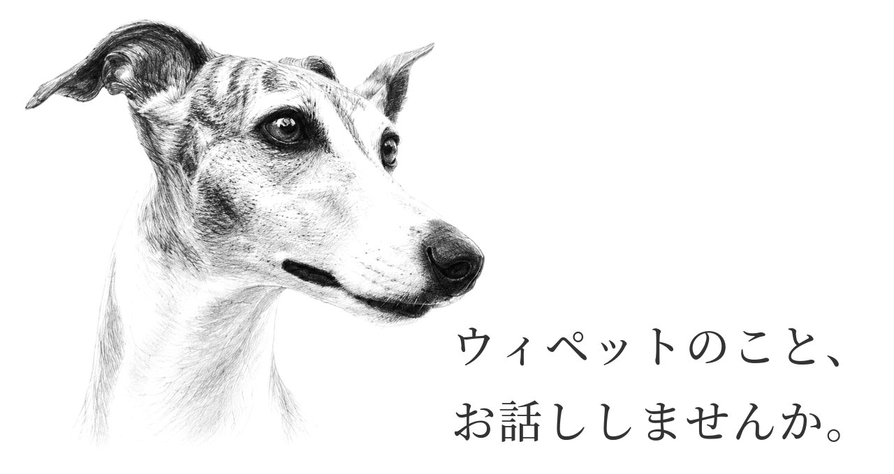 ウィペットのこと、お話ししませんか。