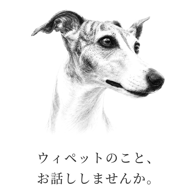 ウィペットのこと、お話ししませんか。